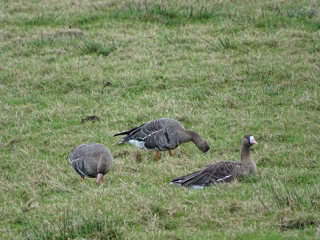 穩固的防守 穩固的防守