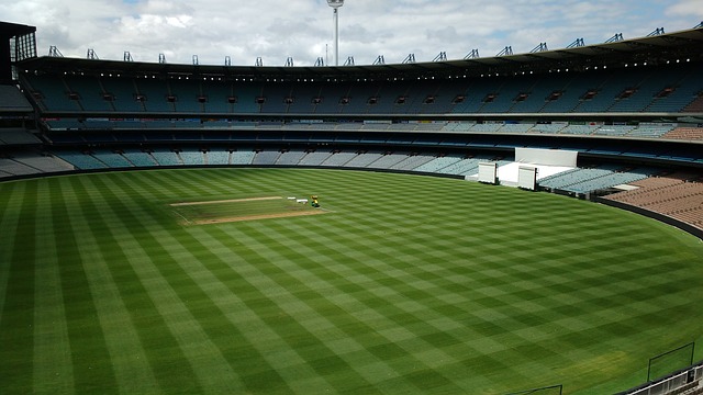 他們的競爭 他們的競爭