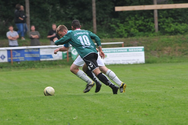 无疑推动了 无疑推动了