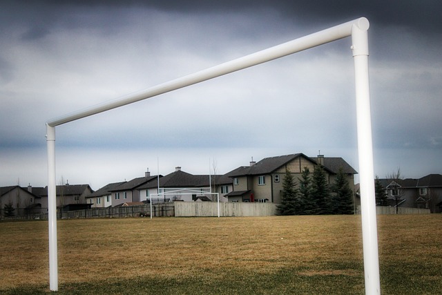 莱斯特城在 莱斯特城在