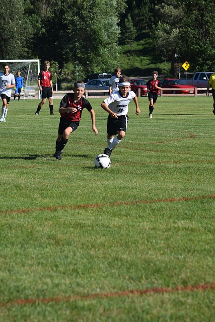 的热烈讨论 的热烈讨论