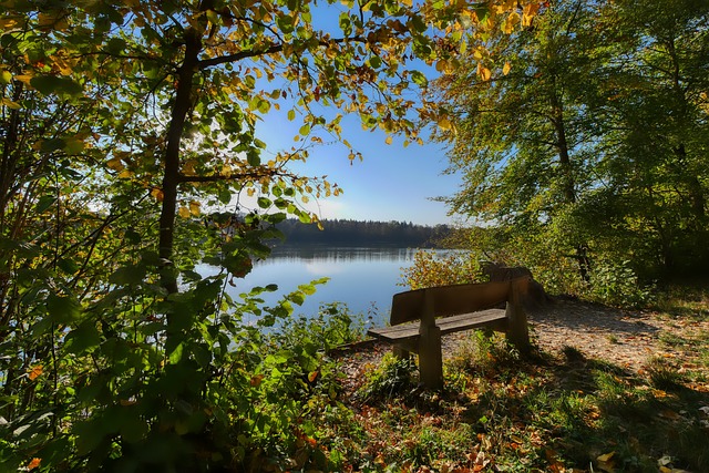 此次亚预赛 此次亚预赛