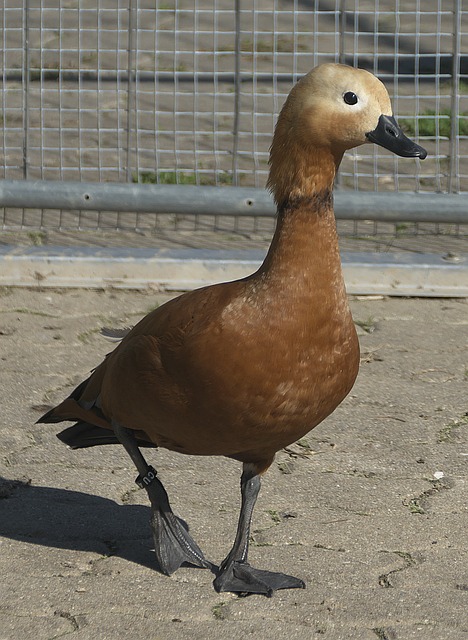 这里基础设